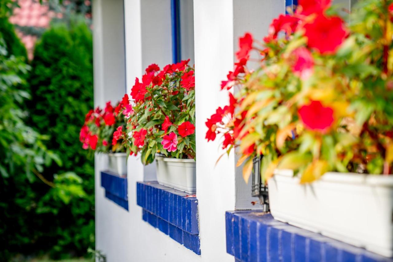 Kobyla Holistyczne Ujecie B&B 외부 사진